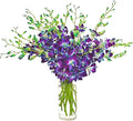 eflowerwholesale - Premium Cut Purple Orchids (Support Small Business) (Blue, 20 Stems with Vase)