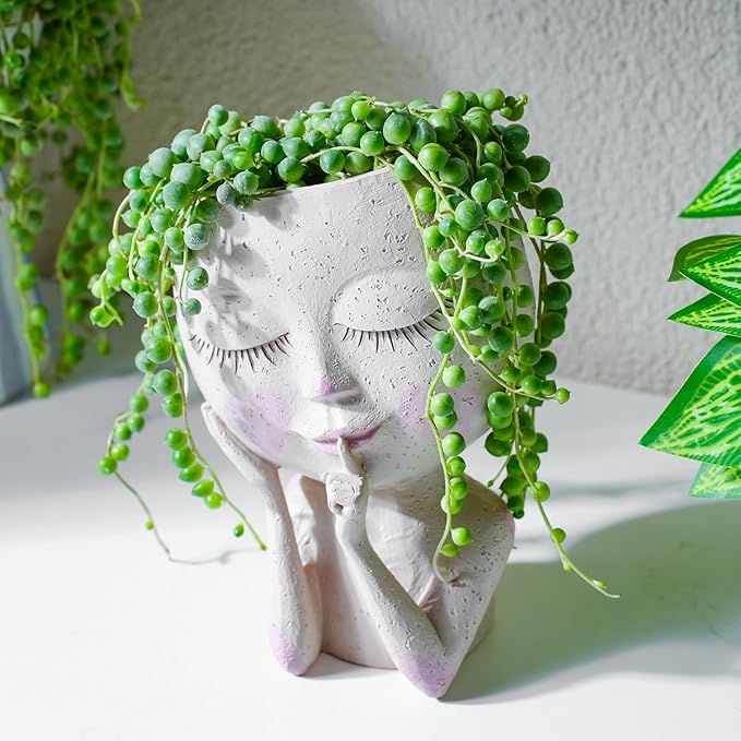 String of Pearls Live Succulent Plant (4-inch), Fully Rooted Trailing Houseplant for Hanging Baskets, Low Maintenance Home & Office Decor, Ideal Gift for Plant Lovers