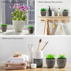 Succulents Plants Artificial Set of 6 Small Realistic Fake Succulent Plant in Pots Realistic Faux Greenery Plants Potted for Home Office Desk Indoor Bedroom Living Room Decoration