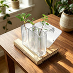 4 Pack Hanging Aquarium Plant Holder Top Hanging Fish Tank Plant Pot Clear Aquarium P-Lant Holder 3 Holes Aquatic P-Lant Cups for Aquarium Tank Decoration