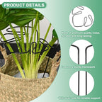 M METERXITY 3-Pack Monstera Plant Support, 11x5.9 Inch Reusable Sturdy Alloy Plant Support Stakes Unique Design for Potted Plants Flowers/Vegetables/Indoor Outdoor Climbing Plants [Black]