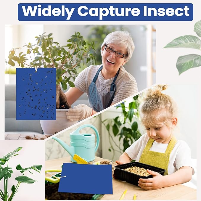 Qualirey 150 Pcs 6x8 Inch Blue Sticky Traps for Thrips Double Sided Sticky Trap for Gnats Plant,Pest Control for Fungus Gnats, Thrips, Whiteflies – Bulk Pack with Twist Ties