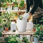8 Inch Ceramic Planter Pot Round Plant Pot with Drainage Hole and Saucer Modern Flower Pot for Indoor Outdoor Plants White