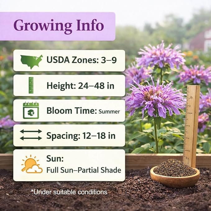 3000+ Bee Balm Seeds for Planting - Wild Bergamot, Bee Balm Perennial Open Pollinated, Monarda fistulosa Wildflower Seeds for Outdoor Garden Borders & Native Beds