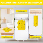 8 Pack Sticky Fly Traps, Fly Traps Outdoor/Indoor, Fly Stick, Fruit Fly Trap, Flying Insect Catcher Gnat Trap Killer for Flying Plant Insect Such as Mosquitos, Aphids, Leafminers, Fungus Gnats