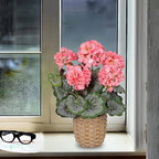 Briful Artificial Pink Geranium Flowers in Woven Basket, 14.5’’ Tall Silk Flower Arrangement, Realistic Geraniums Artificial Outdoor Plants for Home Indoor Farmhouse Table Wedding Centerpiece Decor