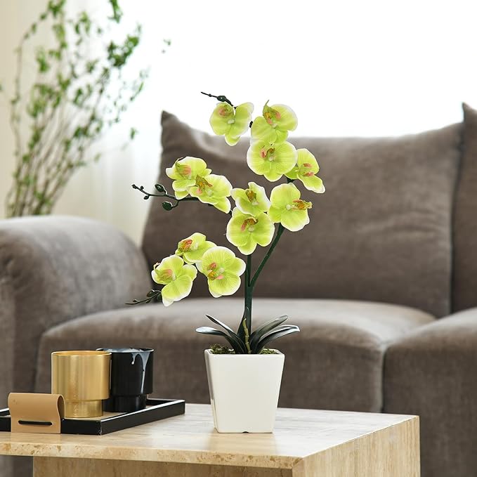 15" Tall Artificial Silk Phalaenopsis Orchid Flower Plant Pot Arrangements (Apple Green)