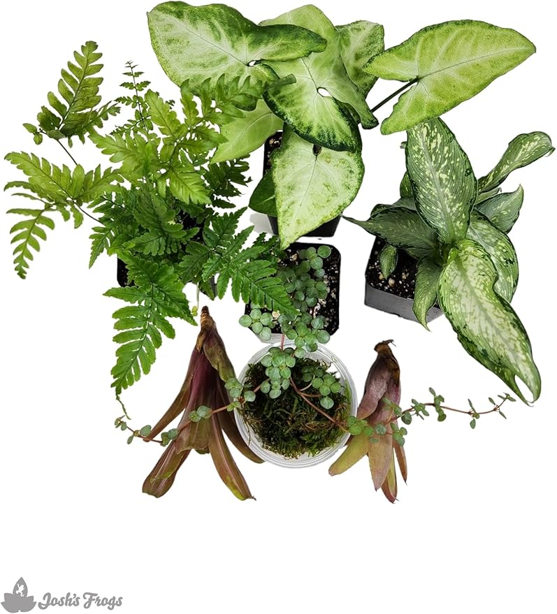 Josh's Frogs Dart Frog Vivarium Bioactive Plant Kits (10 Gallon)