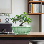 Bonsai Pots 11 Inch - Ceramic Succulent Pots with Drainage Hole, Oval Planter for Indoor Outdoor, Decorative Ceramic Flower Pot, Home Garden Room Decor, Plant Lover Gifts, Green
