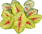 Artificial Caladium Plant with Red and Green Leaves, Red Leaf Artificial Plants Decoration Simulated Bonsai Potted Decor Home Room Party Wedding Office Floor (Yellow(No Flowerpot), 85cm)