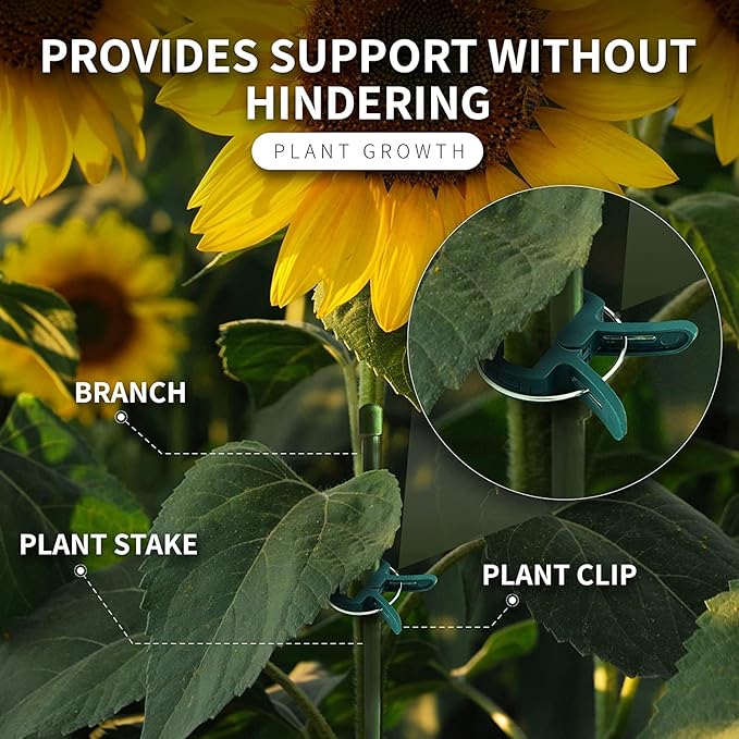 Plant Clips Green Gentle Gardening Plant & Flower Lever Loop Gripper Clips, Tool for Supporting or Straightening Plant Stems, Stalks, and Vines, Garden Clips, by RamPro (80 pc)