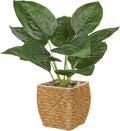 Briful Fake Plants Potted Fern Artificial Plants Indoor Realistic Greenery Faux Plants in Square Plastic Rattan Baskets for Home Decor Farmhouse Office Weddings