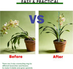 20 Set Plant Stakes 12 inch Extendable Plant Support Stakes with Adjustable Rings, Flowers Stems Plants Sticks for Indoor Outdoor Plants Stabilizer Support Sticks for Orchid Rose Peony Tomato