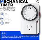 Barrina CX2Z Greenhouse with Grow Light for Indoor Plant & Seedlings, 6-Tier Plant Shelf with 2FT 30W(Per Light) Full Spectrum Plant Lights, 3 Adjustable Spectrum and Timer, 29x14x71 Inches