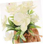 Ipetboom Realistic Phalaenopsis Orchid Bonsai Potted Faux Flowers for Home and Office Decoration Lifelike Artificial Phalaenopsis Pot for Table Bedroom Living Room DIY Floral Arrangement