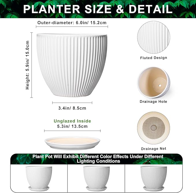 Ceramic Pots for Plants, 6 Inch Plant Pot with Drainage Hole and Saucer, Round Ceramic Flower Pots for Indoor Plants, Modern Small Succulent Planter, Room Home Decor, Plant Lover Gifts, White