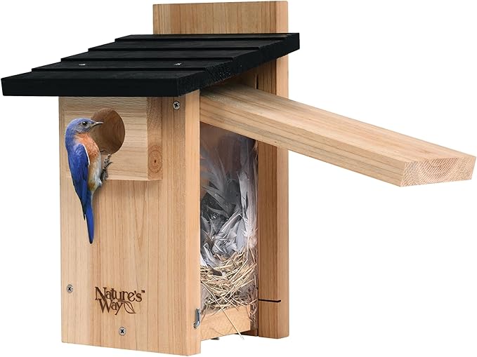 Nature's Way Bird Products CWH4 Cedar Bluebird Viewing House