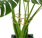 4PCS Iron Monstera Plant Support - 4.1IN Plant Support Stakes for Indoor Plants, Stable Plant Stakes and Supports, Ideal Plant stem Support for Turtle Shell Bamboo & Houseplants