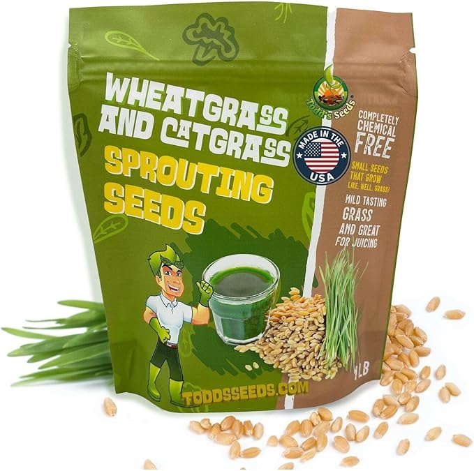 Todd's Seeds Wheatgrass Seeds; Hard Red Winter Wheat, Non-GMO, Chemical Free, High Germination (One Pound)