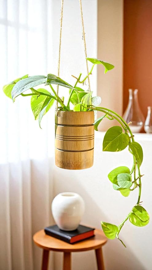 Live Golden Pothos Plant - Natural Indoor Hanging Basket for Home Decor - Sustainable Handmade Bamboo Boho Plant Hanger
