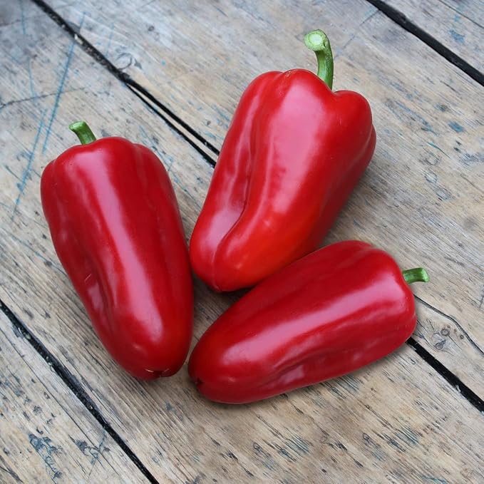Bonnie Plants Snacking Red Pepper 19.3 oz. 4-pack