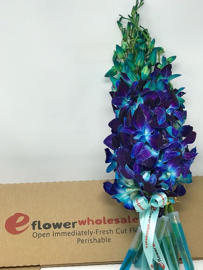 eflowerwholesale - Premium Cut Purple Orchids (Support Small Business) (Blue, 20 Stems with Vase)