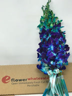 eflowerwholesale - Premium Cut Purple Orchids (Support Small Business) (Blue, 20 Stems with Vase)