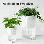 12 Pack 2.5"/2" Mini Clear Self Watering Pots for Indoor Plants with 2 pcs Transplanting Tool, Small Plastic Propagation Pots for Plants, Water Level Indicator,Drainage Hole,12 Plant Labels