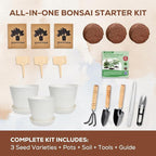 Jacaranda Bonsai Starter Kit – Complete DIY Indoor Growing Kit with Tools, Planter & Guide | Unique Gardening Gifts for Beginners, Women, Men, Mom & Dad | Live Plant Craft Hobby Set
