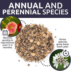 Wildflower Seeds Edible Flowers Mix - 1 Ounce Over 7,000 Open Pollinated Annual and Perennial Seeds