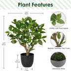 GnFlus Artificial Tree, 17'' Ficus Bonsai, Premium Faux Planted Potted Decor for Home Table Office Desk Bathroom Bedroom Living Room Farmhouse
