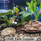 FANTIAN 20 lbs Natural Fish Tank Gravel,1/4 Inch Pea Gravel. Mixed Color River Rocks for Aquarium, Succulent, Vase, Cactus Bonsai, Plant Soil Cover and Outdoor Landscaping Rocks