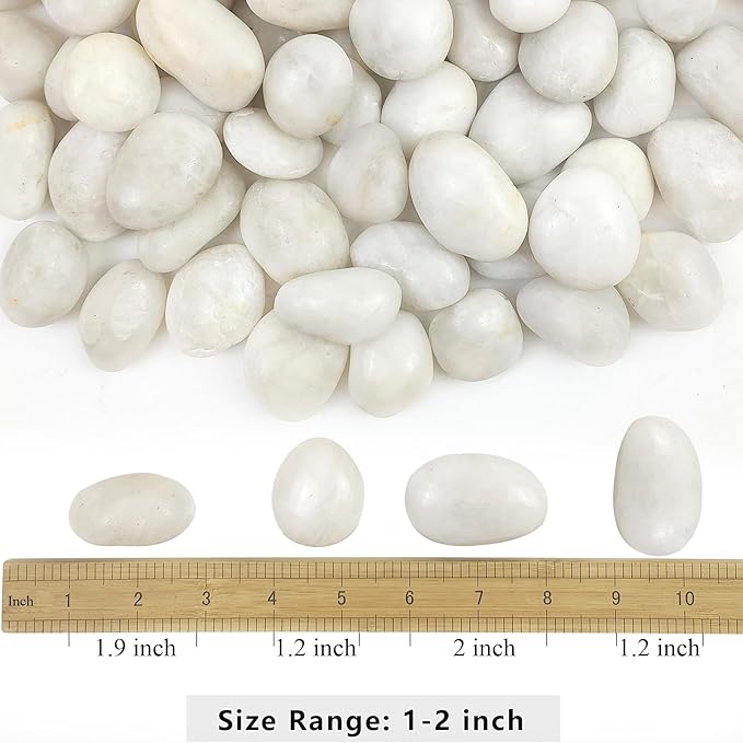 YISZM 5lbs White River Rocks, 1-2 Inch Natural Pebbles for Indoor Plants, High Polished Decorative Stones Vase Filler Fish Tank Aquariums Landscaping Garden Outdoor and Indoor DIY