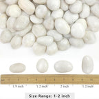 YISZM 5lbs White River Rocks, 1-2 Inch Natural Pebbles for Indoor Plants, High Polished Decorative Stones Vase Filler Fish Tank Aquariums Landscaping Garden Outdoor and Indoor DIY