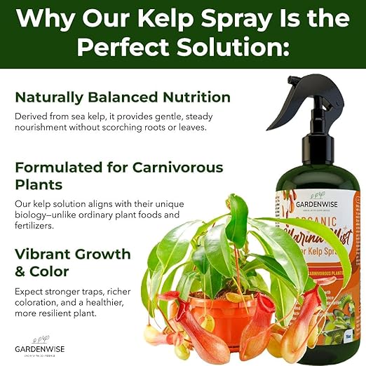 GARDENWISE 100% Organic Marina Mist Carnivorous Plant Food | Liquid Kelp Foliar Spray for Plants - Kelp Fertilizer for Venus Flytraps, Sundew, Butterworts, Pitcher Plants 8 Oz