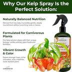 GARDENWISE 100% Organic Marina Mist Carnivorous Plant Food | Liquid Kelp Foliar Spray for Plants - Kelp Fertilizer for Venus Flytraps, Sundew, Butterworts, Pitcher Plants 16 Oz