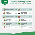 Organo Republic 12 Radish and 10 Carrot Seeds Variety Pack Bundle, 9,950+ Non-GMO Heirloom Garden Seeds for Planting Radishes and Carrots for Indoor & Outdoor Gardening