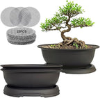 MUZHI 3 Pack Oval Bonsai Training Pot with Drainage Tray, Matte Finish Nursery Plastic Bonsai Planter with 25PCS 2inch Mesh pad (5.2" Small)