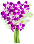 KaBloom - 30 Purple And White Orchids - Fresh Flowers for Birthday, Valentine's & Mother's Day