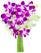 KaBloom - 30 Purple And White Orchids - Fresh Flowers for Birthday, Valentine's & Mother's Day