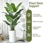 24PCS Forest Green Plant Stem Support, Invisible Stem Supports for Indoor Plants, Monstera Plant Support for Healthy Growth, 4 Sizes Climbing Houseplant Holders, Reusable Plant Accessories