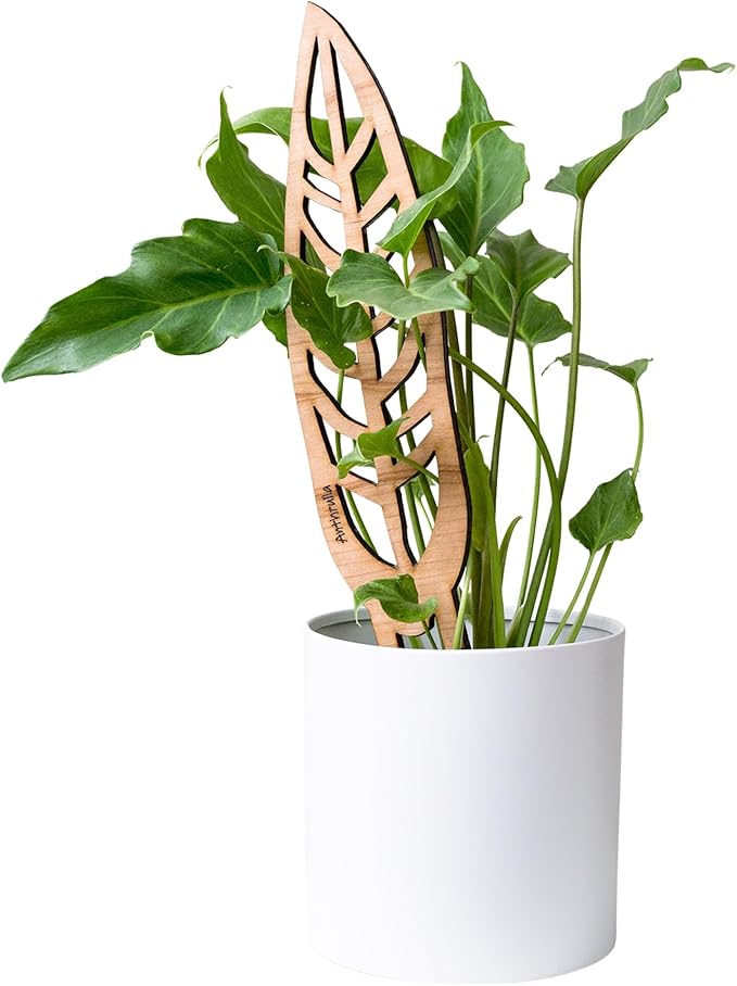 Treleaf Anthrulla Queen Anthurium Leaf Inspired Wooden Trellis – Grande Size 24” Indoor Plant Support for Climbing Plants – Decorative Houseplant Trellis and Wooden Plant Stake