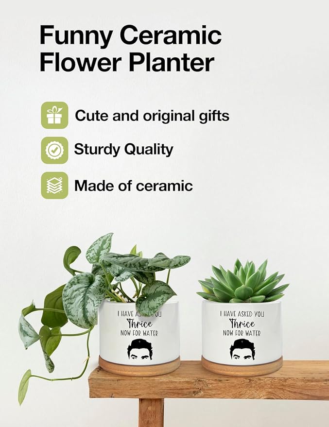 I Have Asked You Thrice Now for Water Ceramic Succulent Planter Pot, Funny Plants Pots Schitts Merchandise Gifts, for Women Mom Grandma Plant Lovers Gifts - 3.5 inch(Plant Not Included)