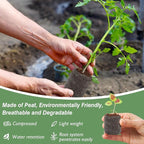 ZeeDix 300 Pcs (30mm) Peat Pellet Fiber Soil Plant Seed Starters - Seed Starter Pellets Pods Compressed Peat Pellets for Grow Herbs, Plant,Flowers and Vegetables