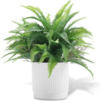 Coferset Small Fake Plant Fern Potted Artificial Plants for Shelf Desk Home Bathroom Farmhouse Room Office Kitchen Farmhouse Coffee Table Decor