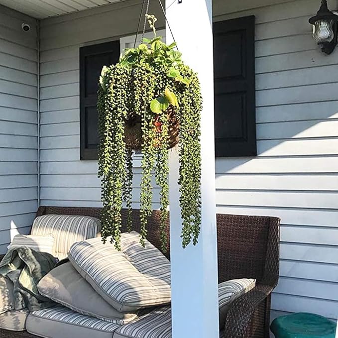 6pcs Artificial Fake String of Pearls Plant Faux Fake Hanging Succulents Plants (6, Green)