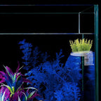 SLSON 2Pack Aquarium Shelf,Transparent Acrylic Ledge Plants Holder for Substrate and Live Plants,with Strong Suction Cups for Fish Tank Multi-layer Decorations