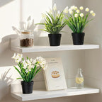3 Pack Fake Small Plant Artificial Potted Flowers for Home Decor Fake Flower Plant Greenery Mini Faux Plant for Indoor Bedroom Living Room Office Shelf Bathroom Farmhouse Decor (Type 5)