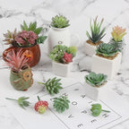 CCINEE 18PCS Artificial Succulent Plants,Mini Assorted Flocking Green Fake Unpotted Echeveria Realistic Agave Floral Faux Lotus for Landscape Garden Arrangement Office and Home Decor