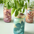 Modern Sprout Garden Jars + Smart Growbar Bundle - Self-Watering Hydroponic Herb Growing Kit with Full-Spectrum LED Grow Light, Organic Herb Seeds, Smart App, Adjustable Brightness, Ideal for Gifting